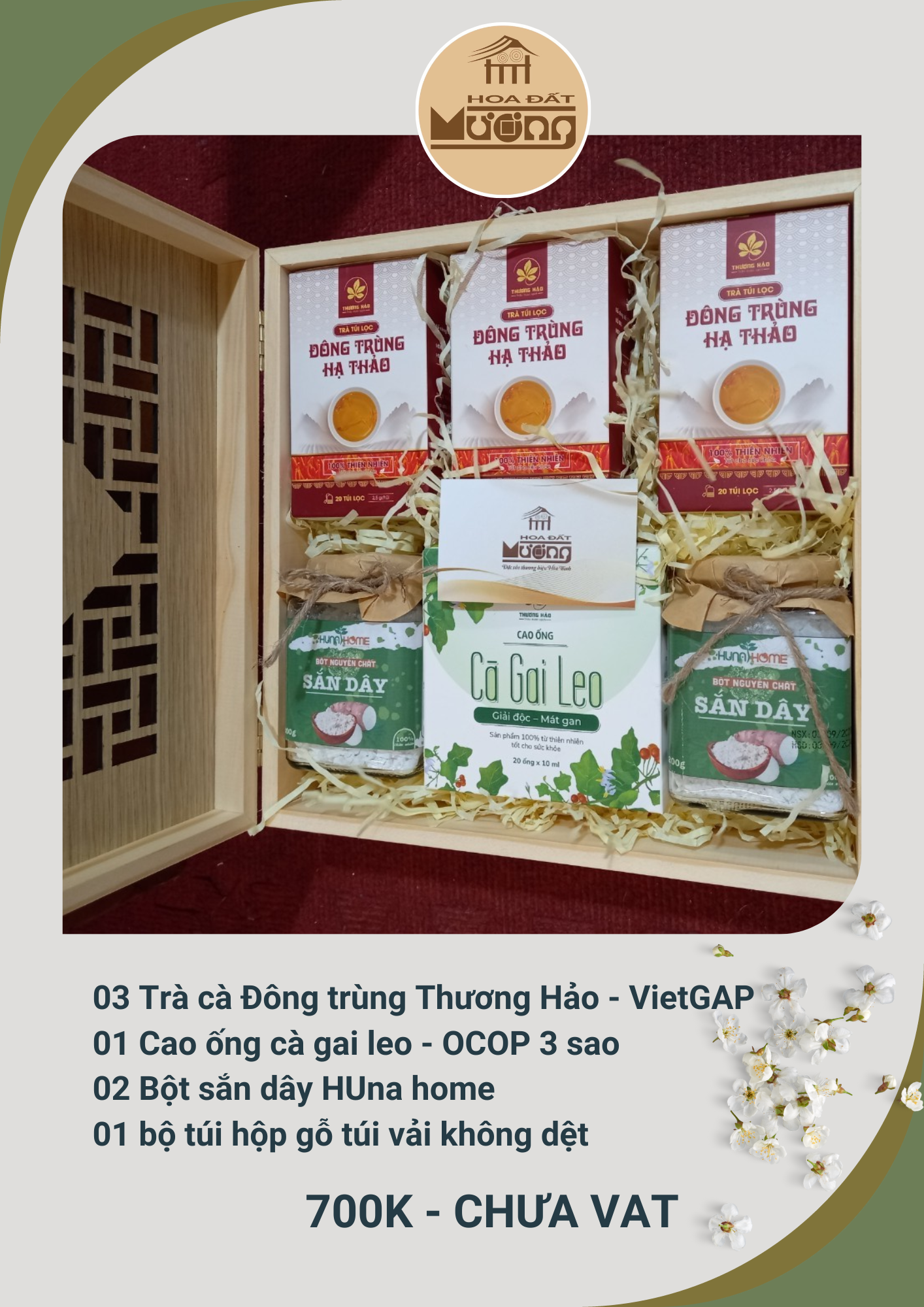 02 Trà túi loc cà gai leo