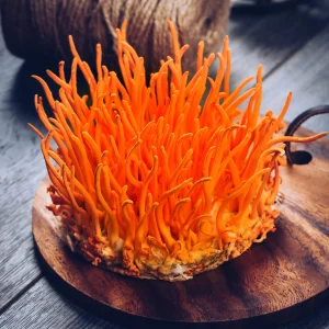 Sản phẩm từ Đông trùng Hạ thảo